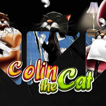 Colin the Cat